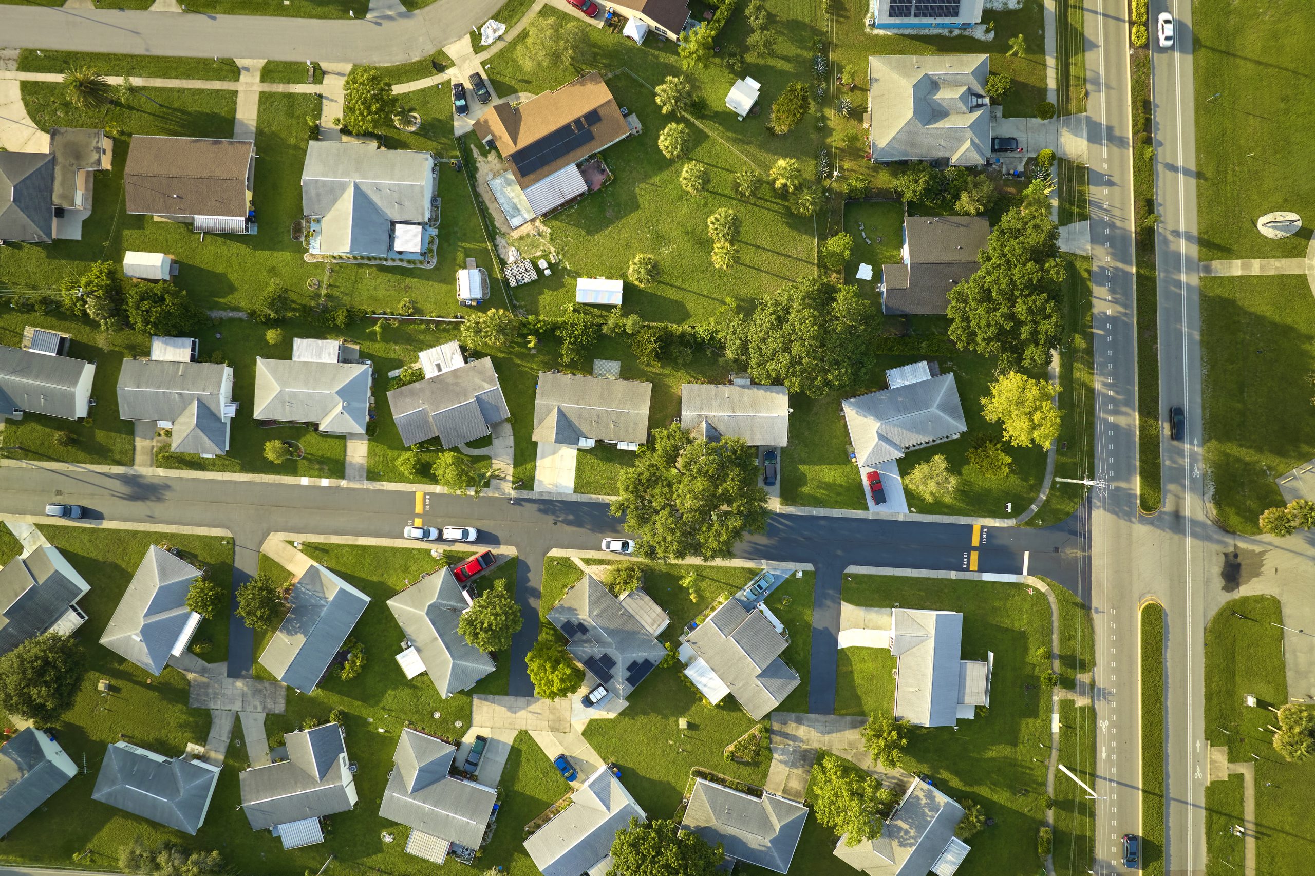 Green living on a tight budget: a practical guide for NYC renters